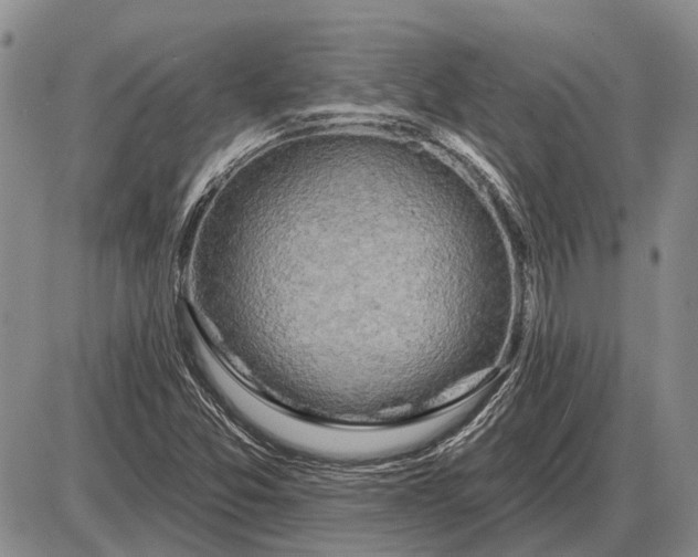 X0000085061357200703191314