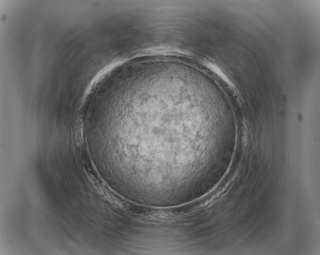 X0000085061358200703191314