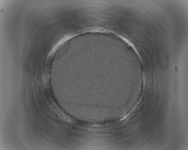 X0000085061359200703191314