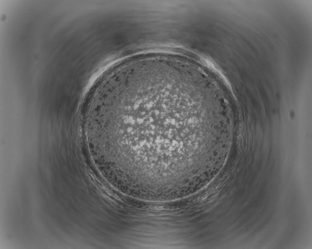 X0000085061360200703191314