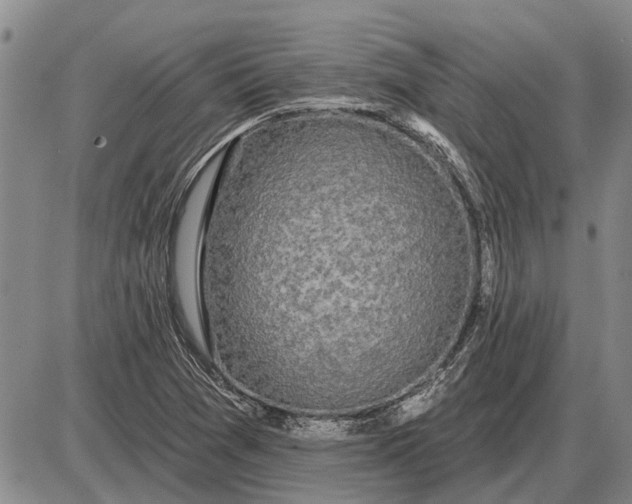 X0000085061361200703191314