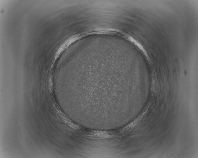 X0000085061362200703191314