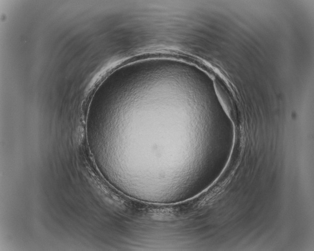 X0000085061363200703191314