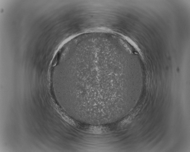 X0000085061364200703191314