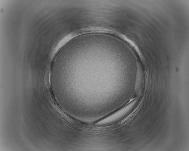 X0000085061365200703191314