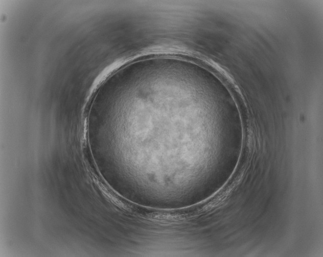 X0000085061366200703191314