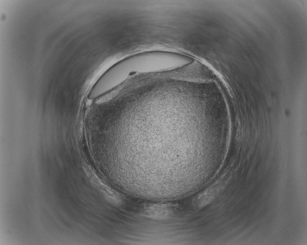 X0000085061367200703191314