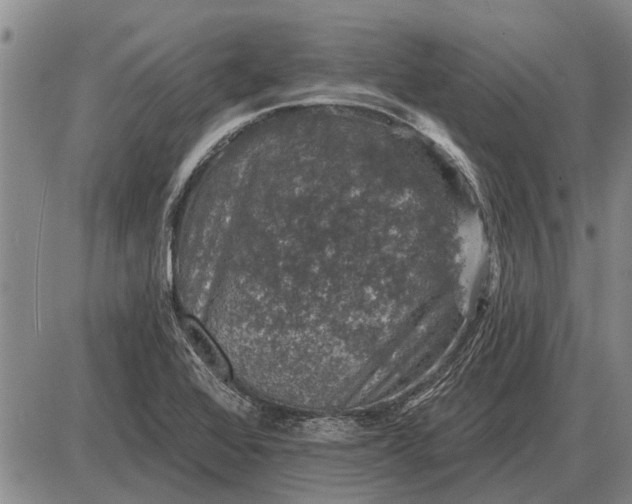 X0000085061368200703191314