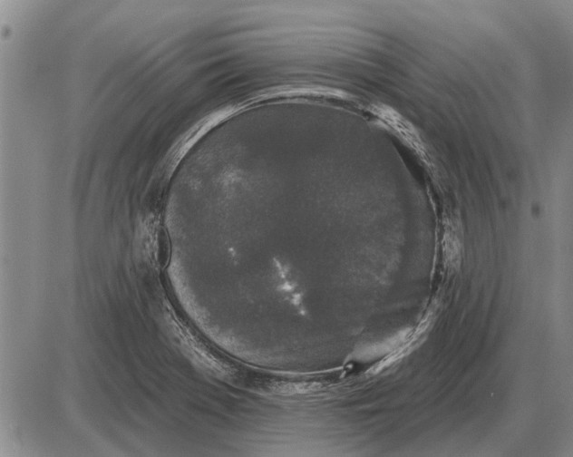 X0000085061369200703191314