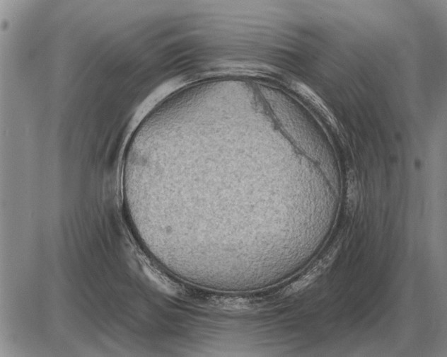 X0000085061370200703191314