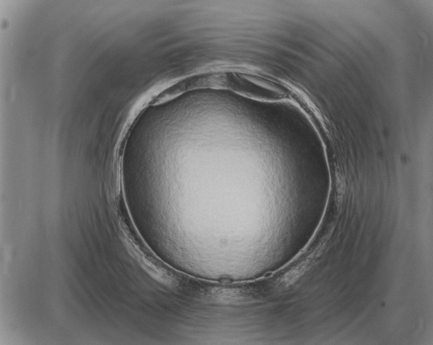 X0000085061371200703191314