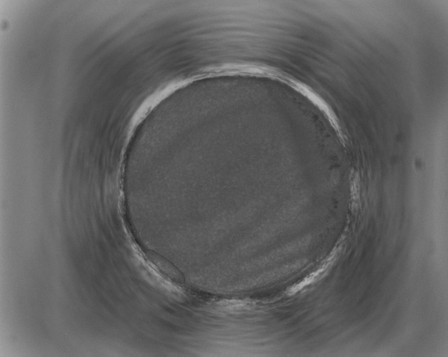 X0000085061373200703191314