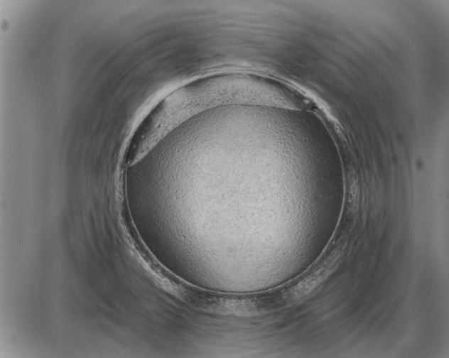 X0000085061375200703191313