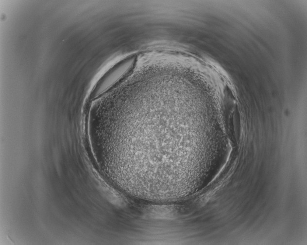 X0000085061376200703191313