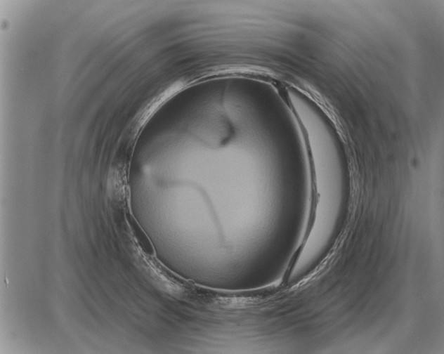 X0000085061377200703191313