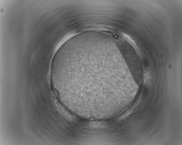 X0000085061378200703191313