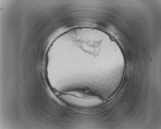 X0000085061379200703191313