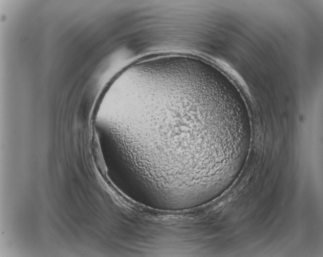 X0000085061380200703191313