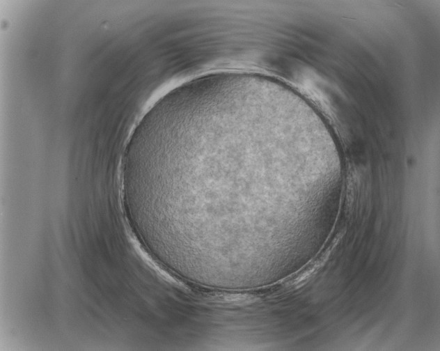 X0000085061382200703191313