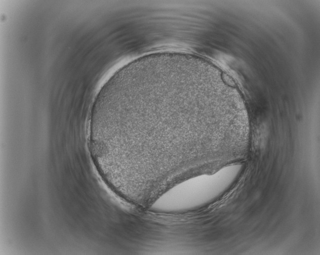 X0000085061383200703191313