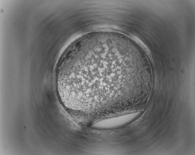 X0000085061384200703191313