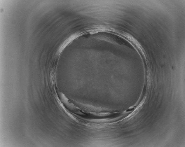 X0000085061385200703191313