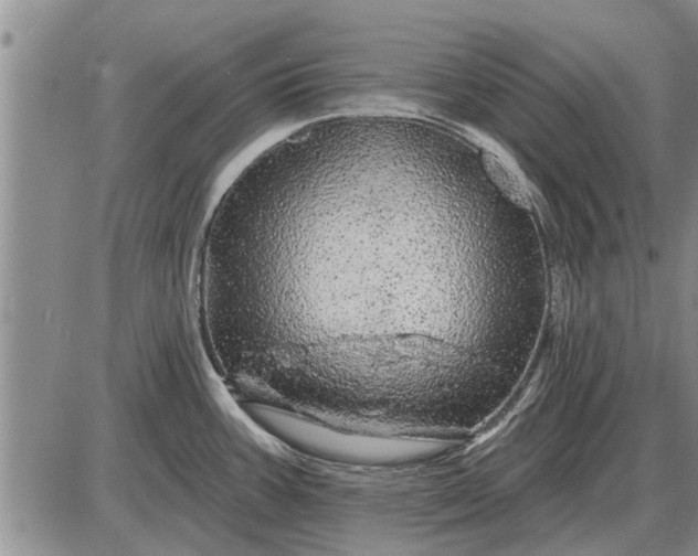 X0000085061387200703191313