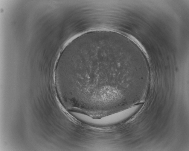 X0000085061388200703191313