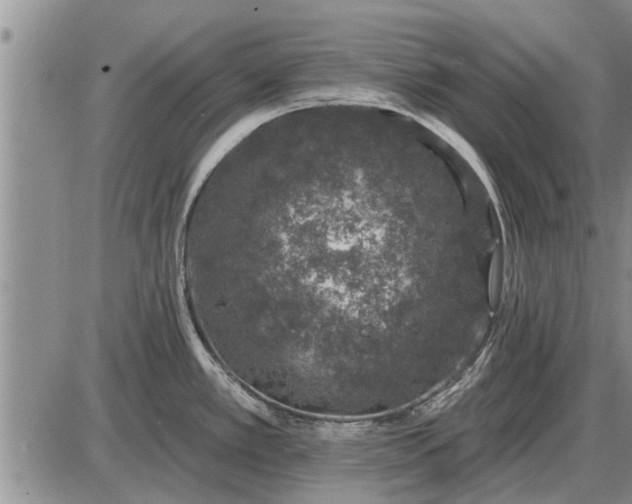 X0000085061389200703191313