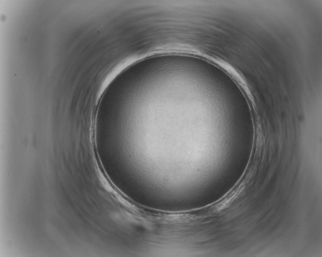 X0000085061390200703191313