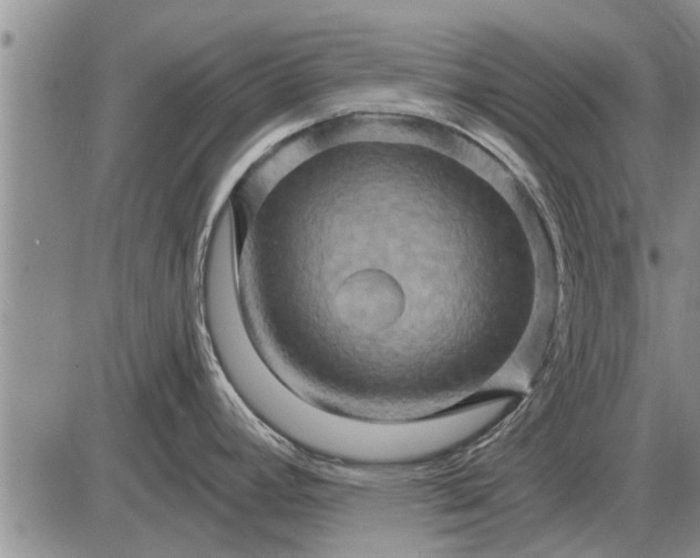 X0000085061392200703191313