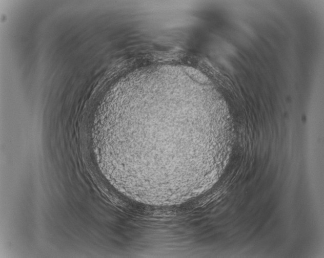 X0000085061393200703191312