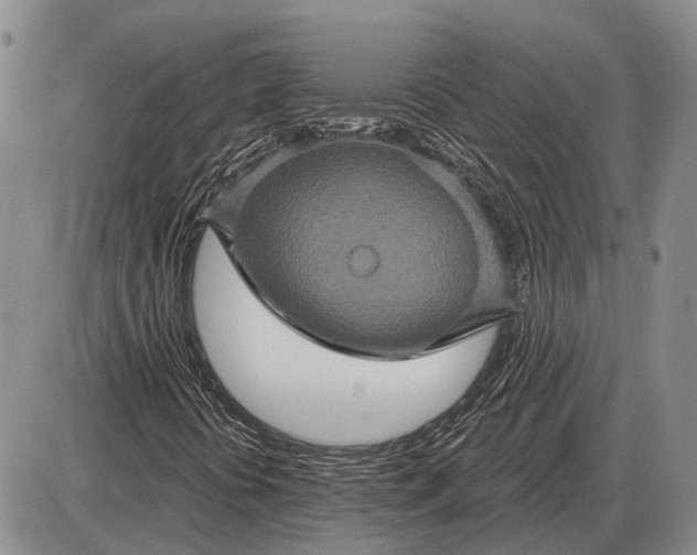 X0000085061394200703191312