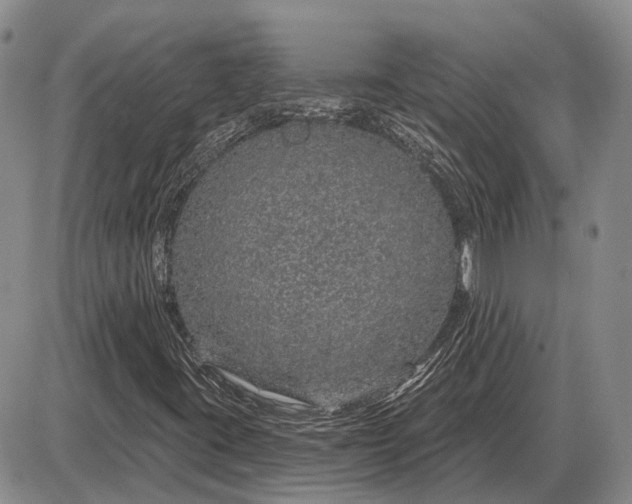 X0000085061395200703191312