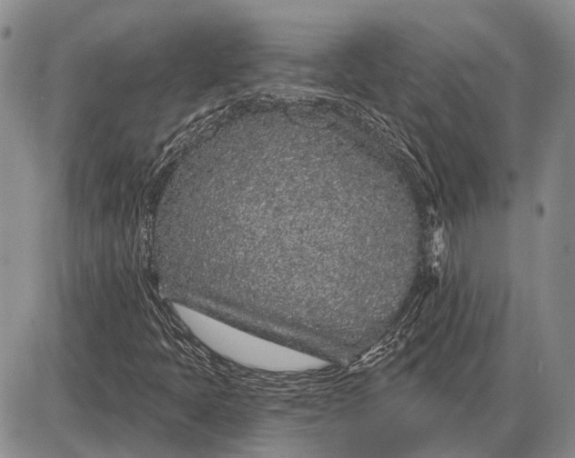 X0000085061397200703191312