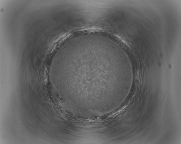 X0000085061398200703191312