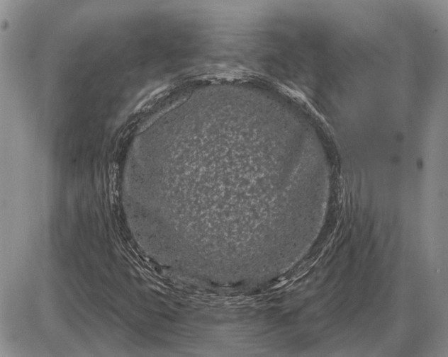 X0000085061399200703191312