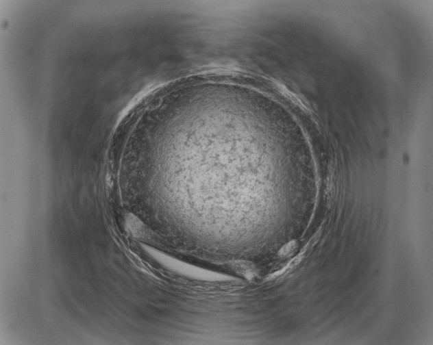 X0000085061400200703191313