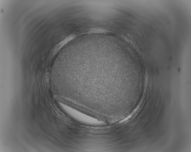 X0000085061401200703191313