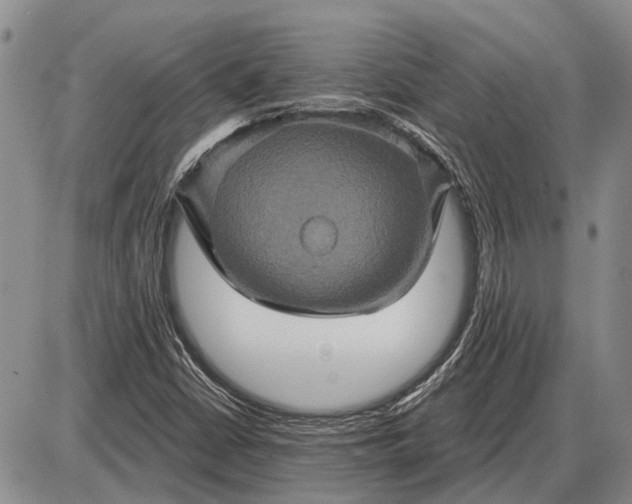 X0000085061402200703191313