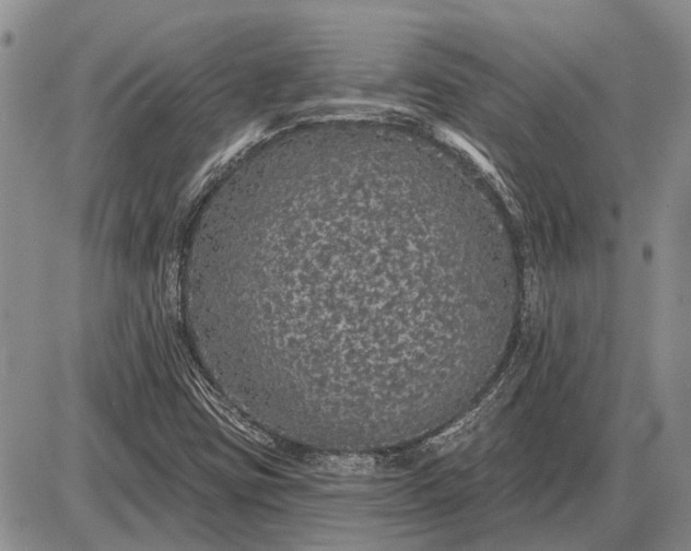 X0000085061403200703191313