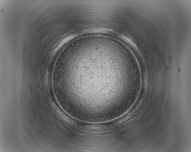 X0000085061404200703191313