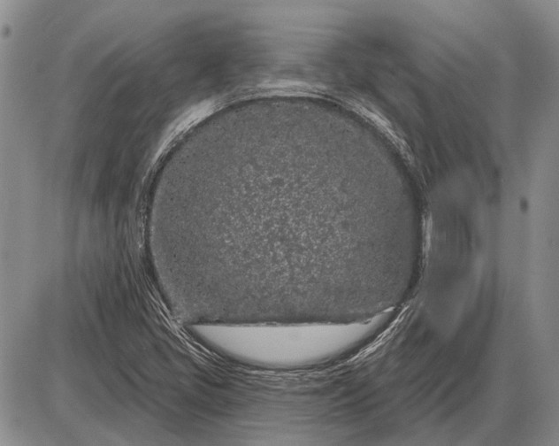 X0000085061405200703191313