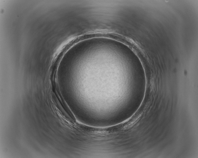 X0000085061406200703191313