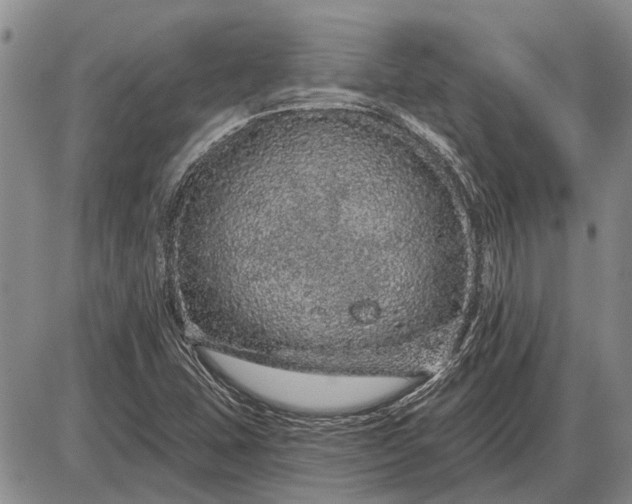 X0000085061407200703191313