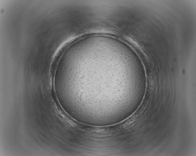 X0000085061408200703191313