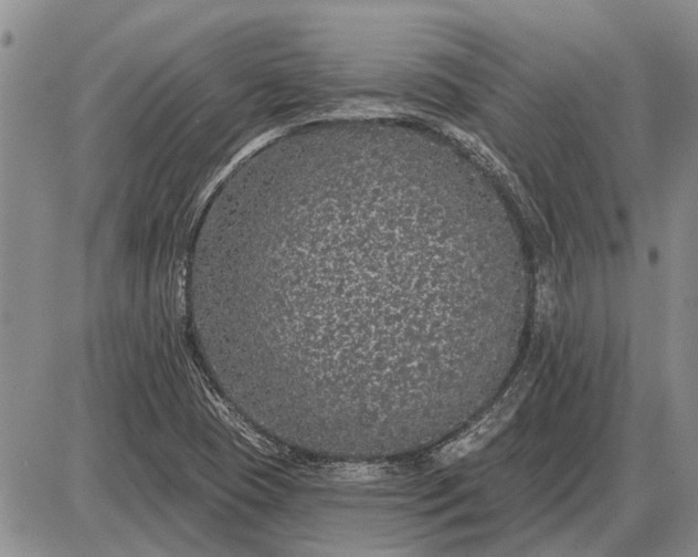 X0000085061409200703191313