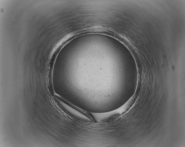 X0000085061410200703191313