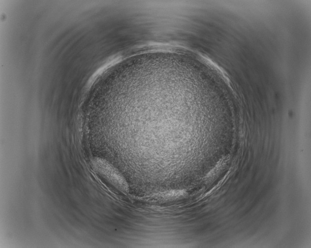 X0000085061411200703191313