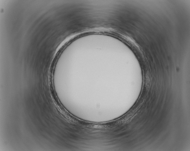 X0000085061412200703191313